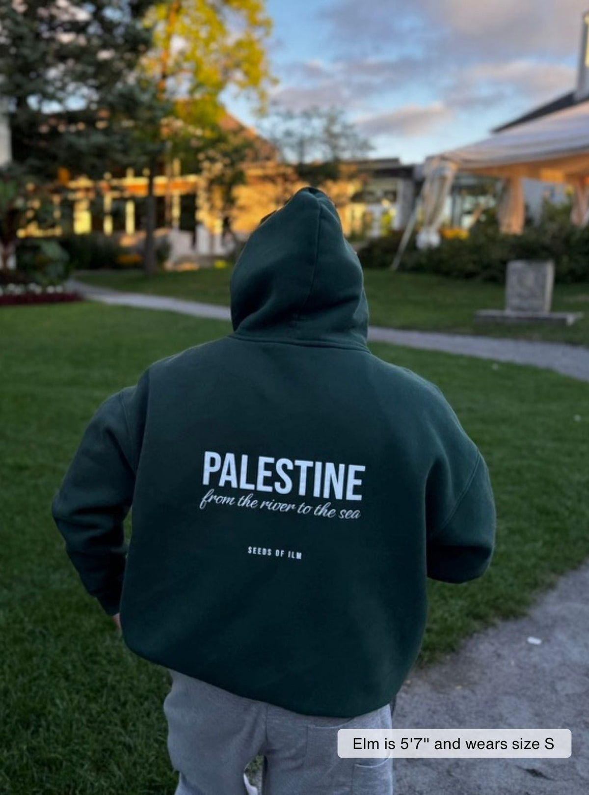 PALESTINE - 9 COLORS