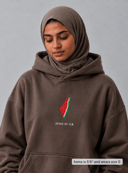 WATERMELON HOODIE