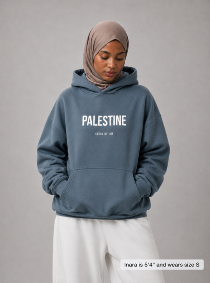 PALESTINE HOODIE