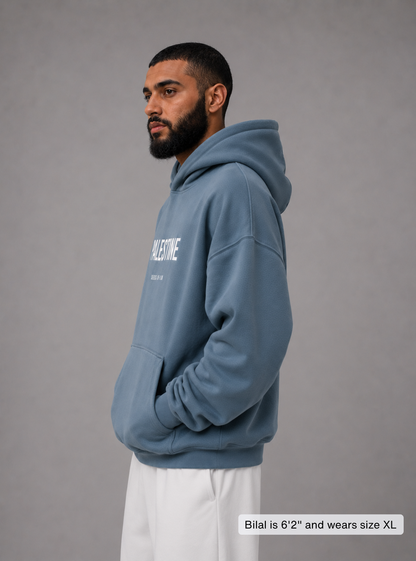 PALESTINE HOODIE