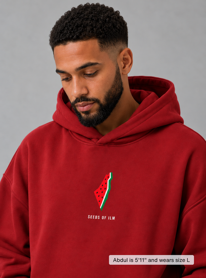 WATERMELON HOODIE