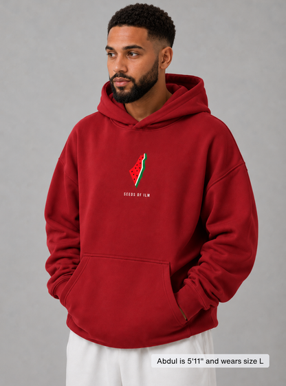 WATERMELON HOODIE