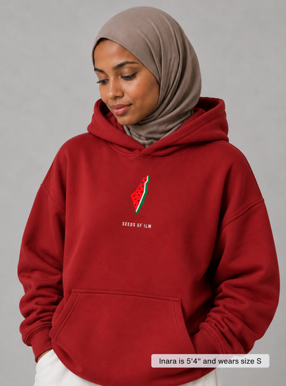 WATERMELON HOODIE