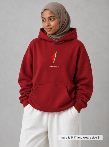 WATERMELON HOODIE