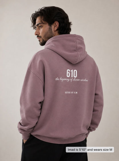 610 HOODIE