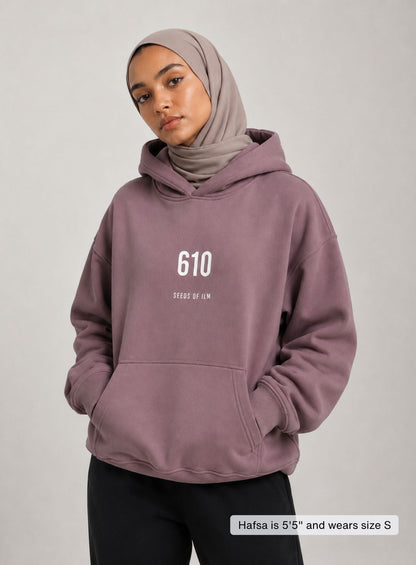 610 HOODIE
