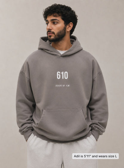 610 HOODIE
