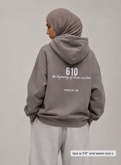 610 HOODIE