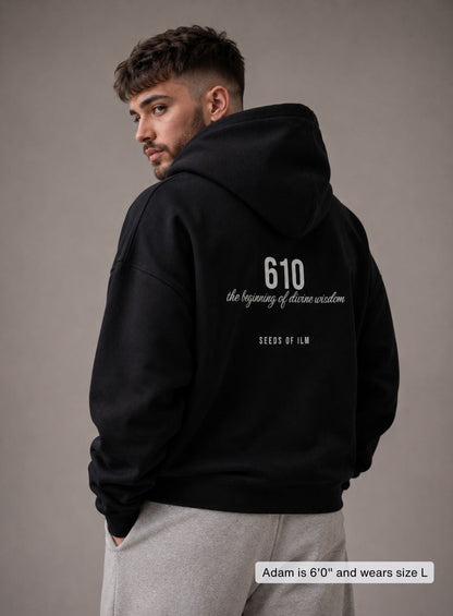 610 HOODIE