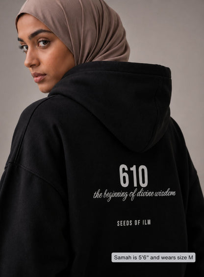 610 HOODIE