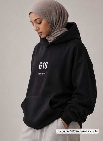 610 HOODIE