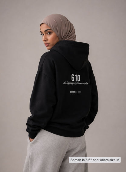 610 HOODIE