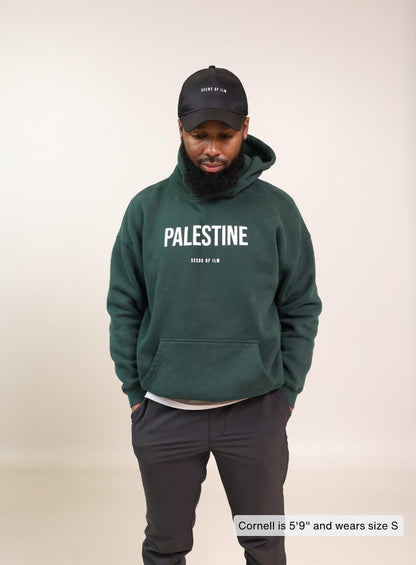 PALESTINE HOODIE