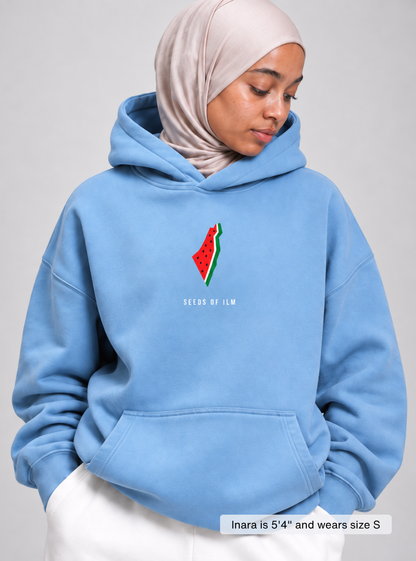 WATERMELON HOODIE