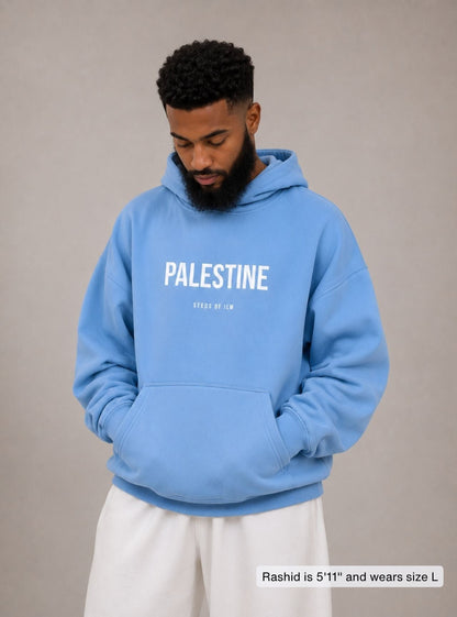 PALESTINE - 9 COLORS