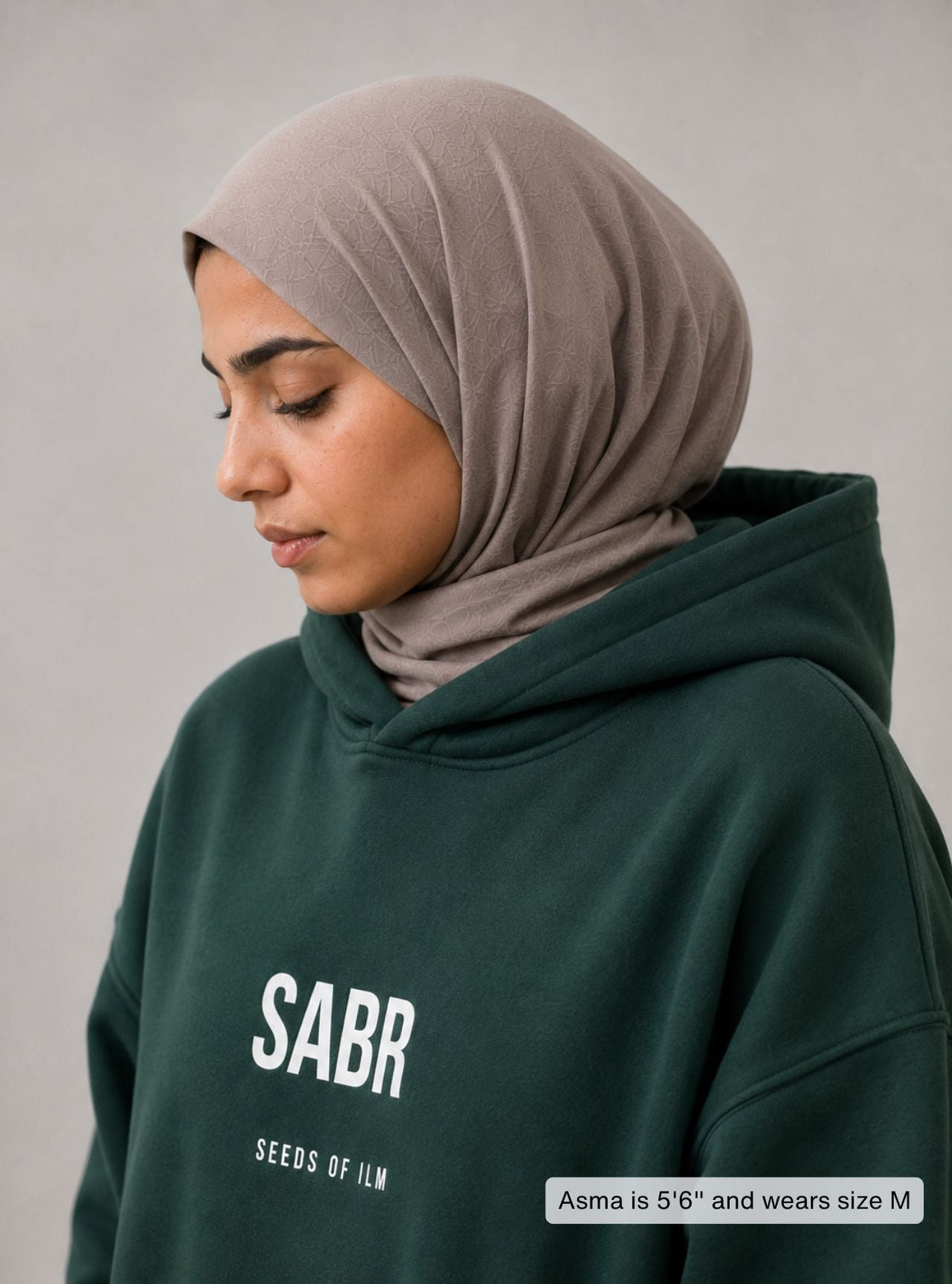 SABR HOODIE