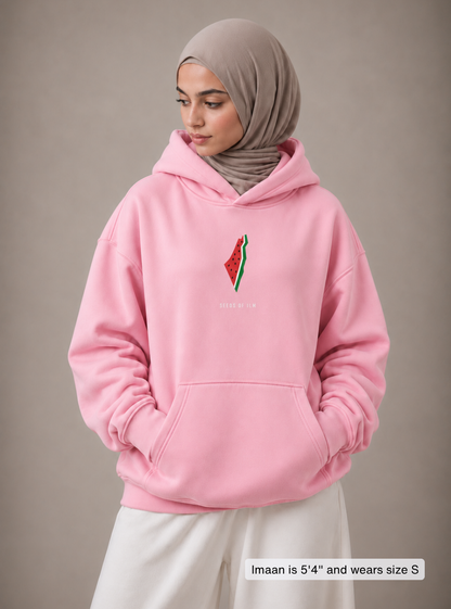 WATERMELON HOODIE