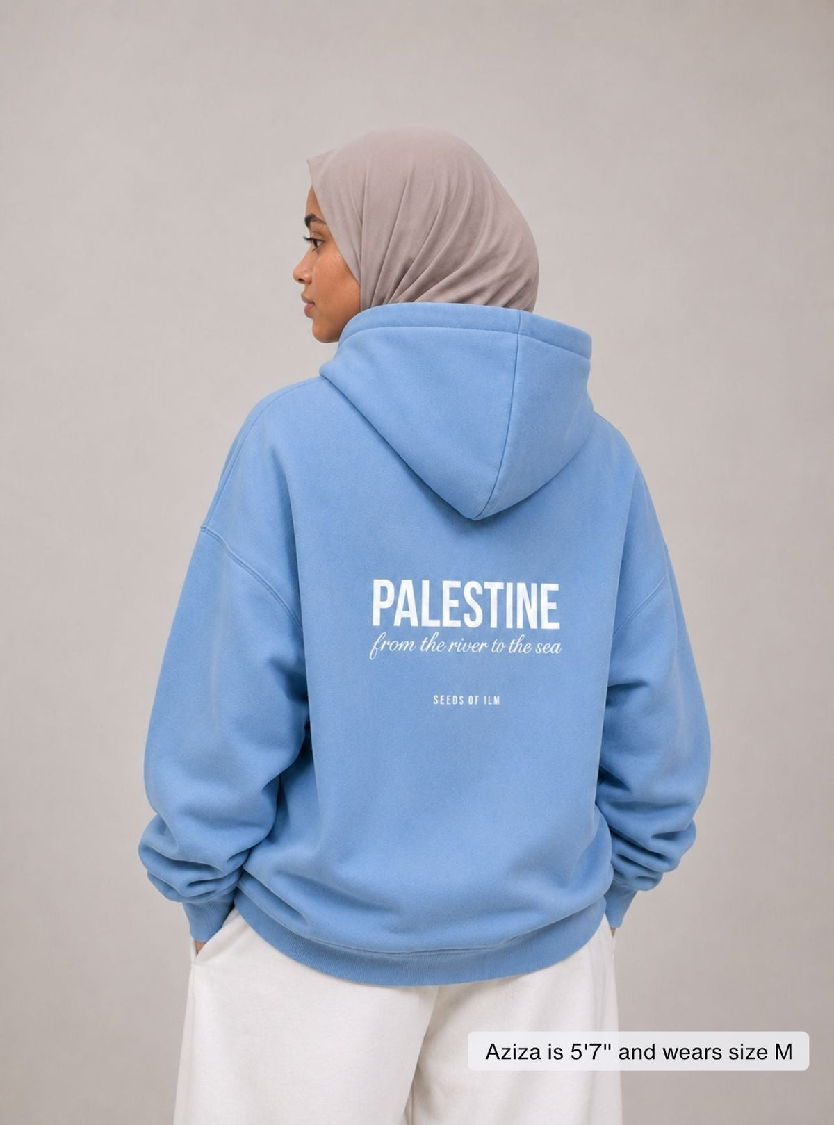 PALESTINE - 9 COLORS