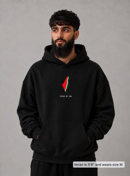 WATERMELON HOODIE