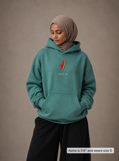 WATERMELON HOODIE