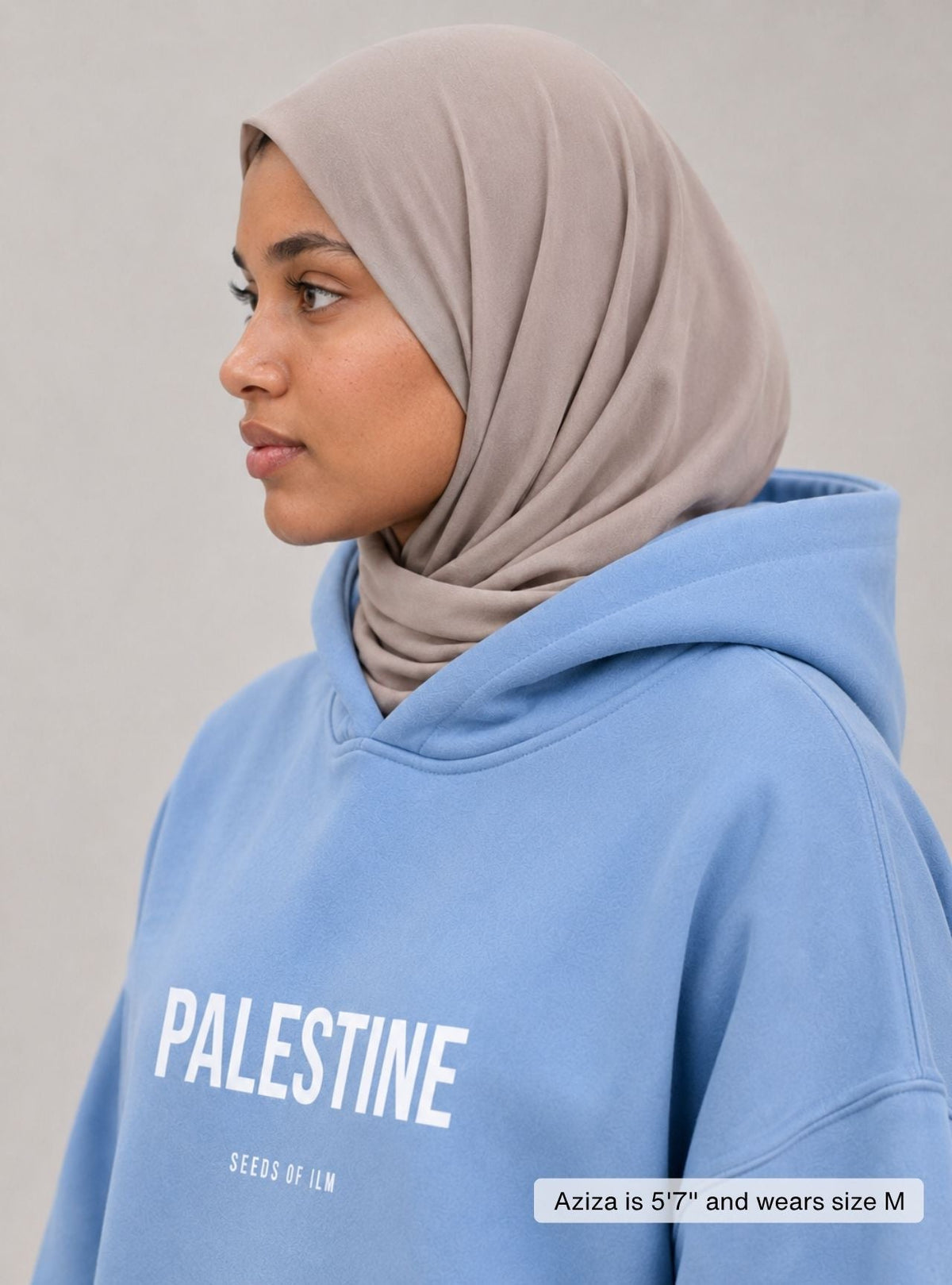 PALESTINE - 9 COLORS
