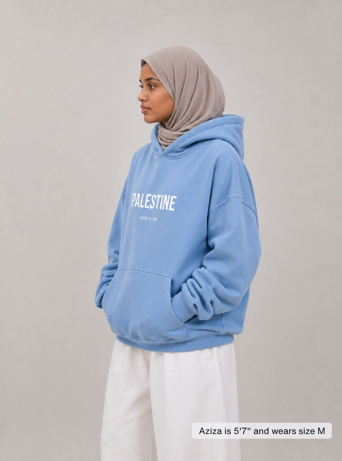 PALESTINE - 9 COLORS