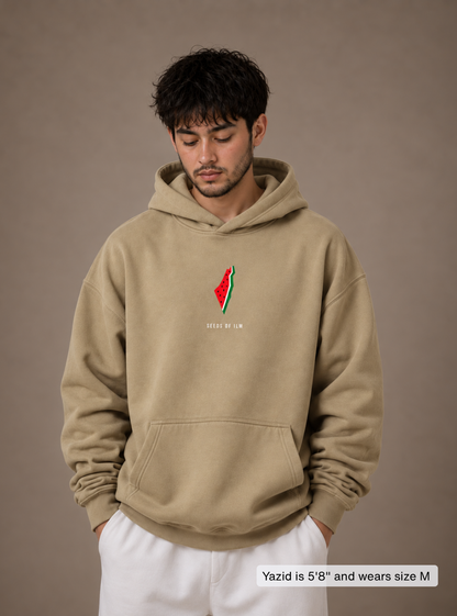WATERMELON HOODIE