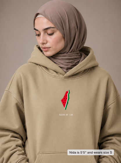 WATERMELON HOODIE