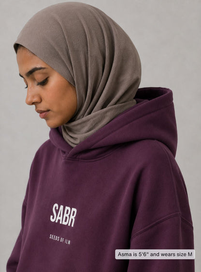 SABR HOODIE