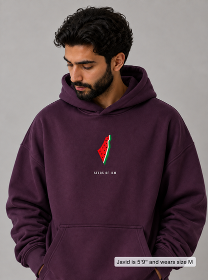 WATERMELON HOODIE