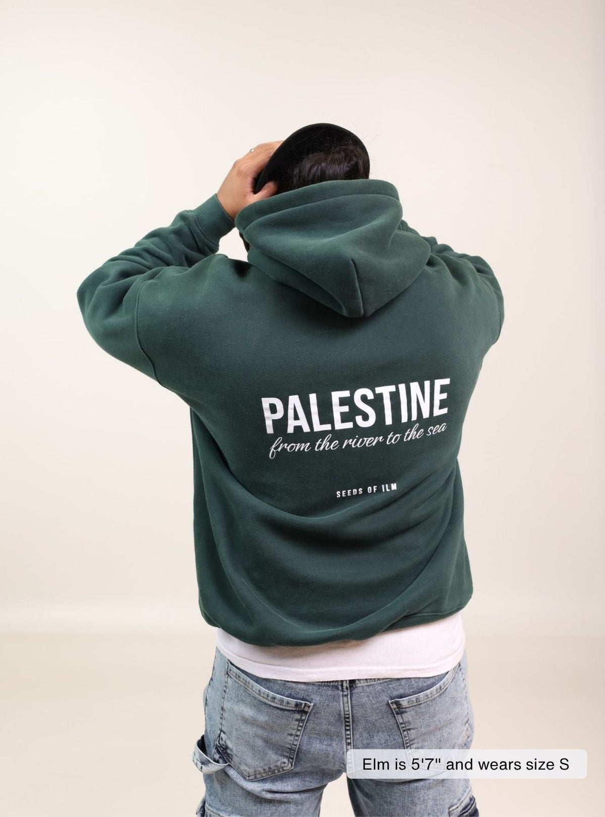 PALESTINE - 9 COLORS